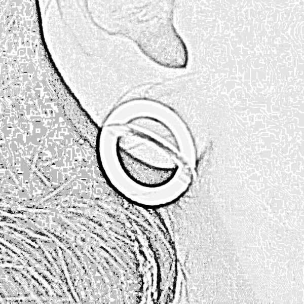 Earrings Ars 3D